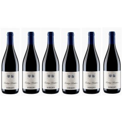 Teroldego Rotaliano Cantina Dorigati 6 Bott.