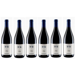 Rebo Trentino Cantina Dorigati 6 Bott.