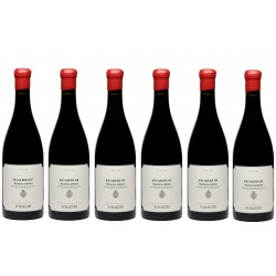 6 Bott. Teroldego Bio Sgarzon